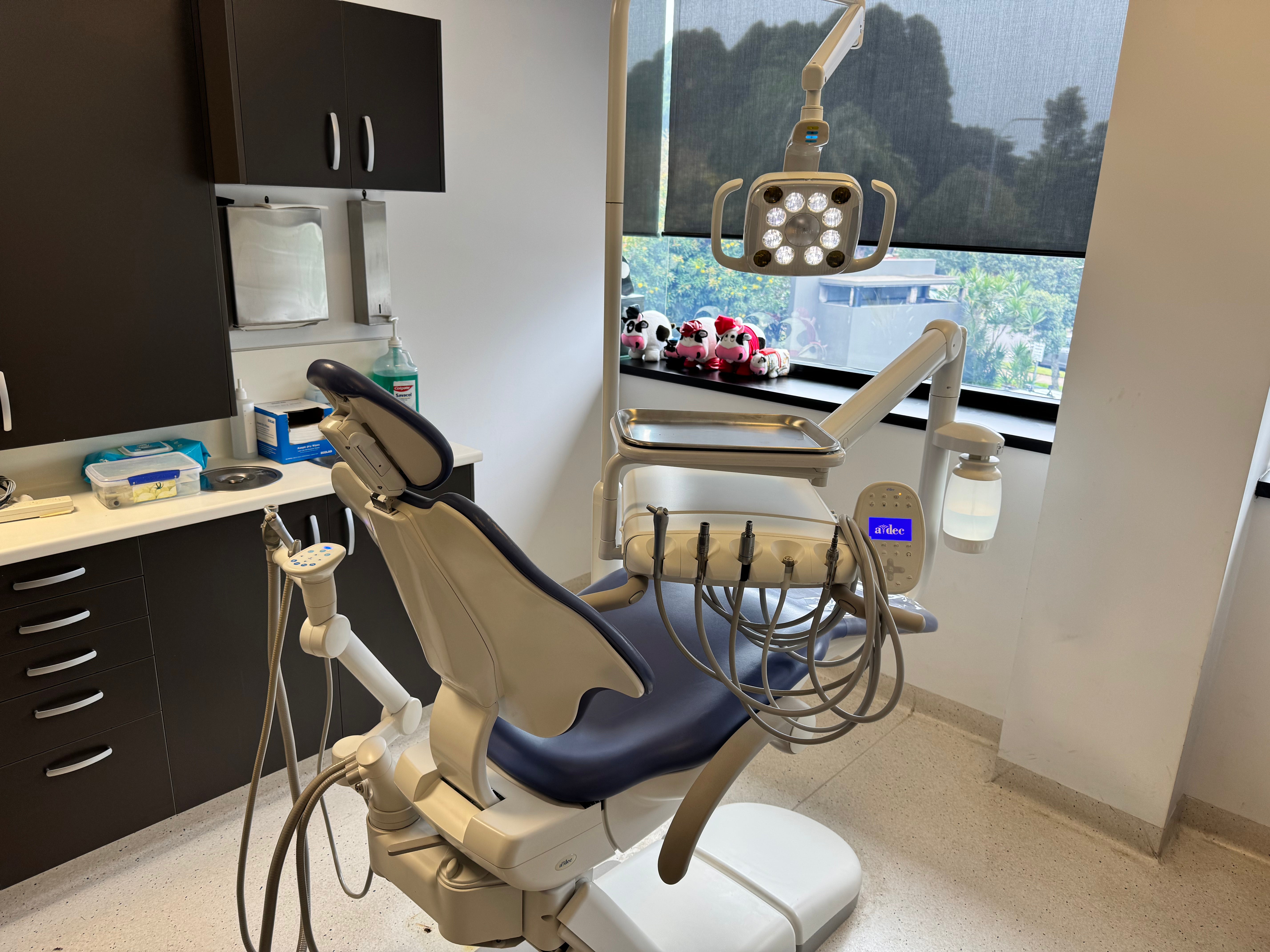 A-dec 511A Refurbished Standard Chair Package - with LED Overhead Light and new sewn upholstery